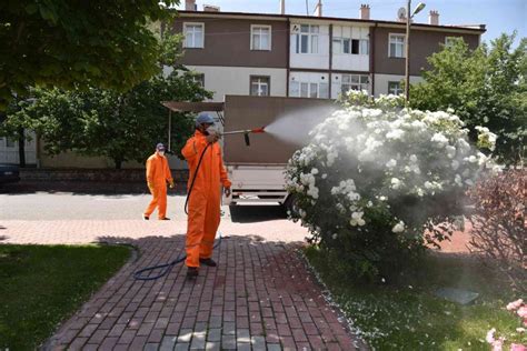 Konya selçuklu belediyesi böcek ilaçlama